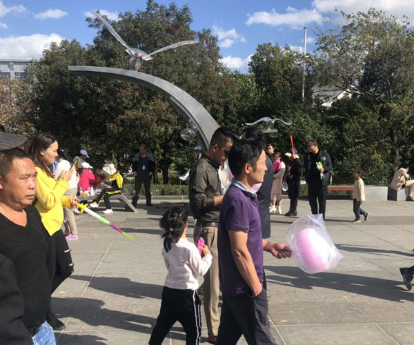 ���|(zh��)���P�����5�ס����b��ַ�����������